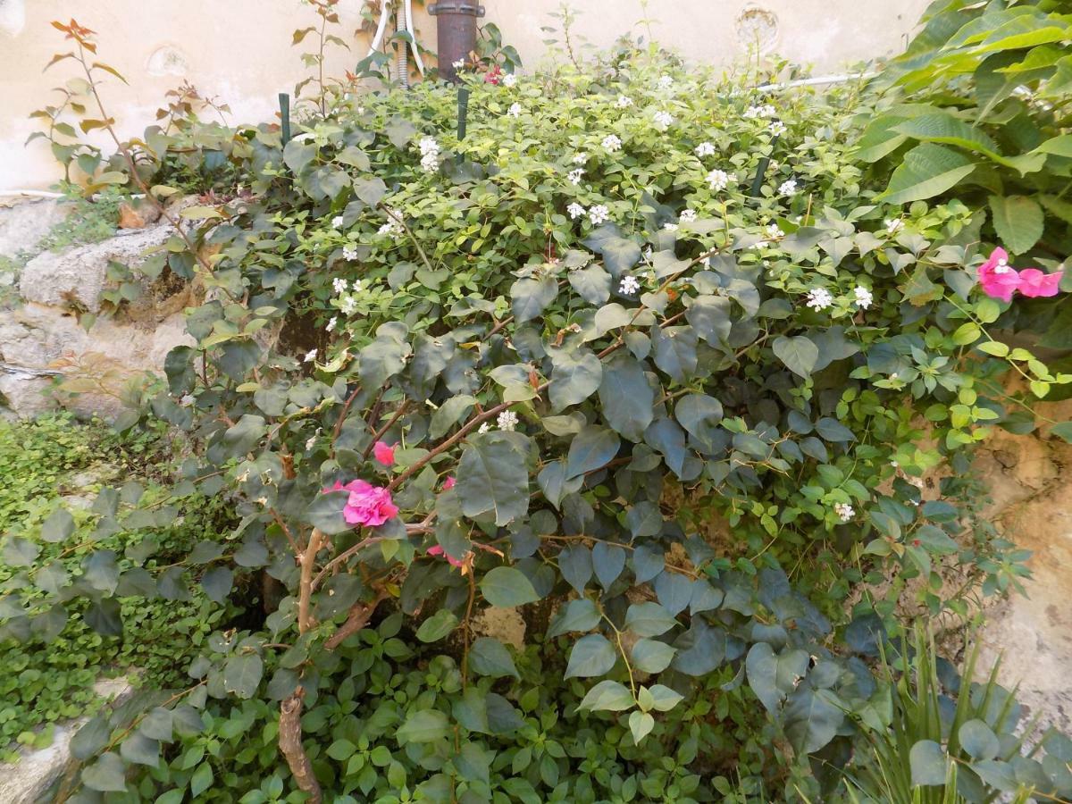 Garden&House Amore Vero Μόντικα Εξωτερικό φωτογραφία